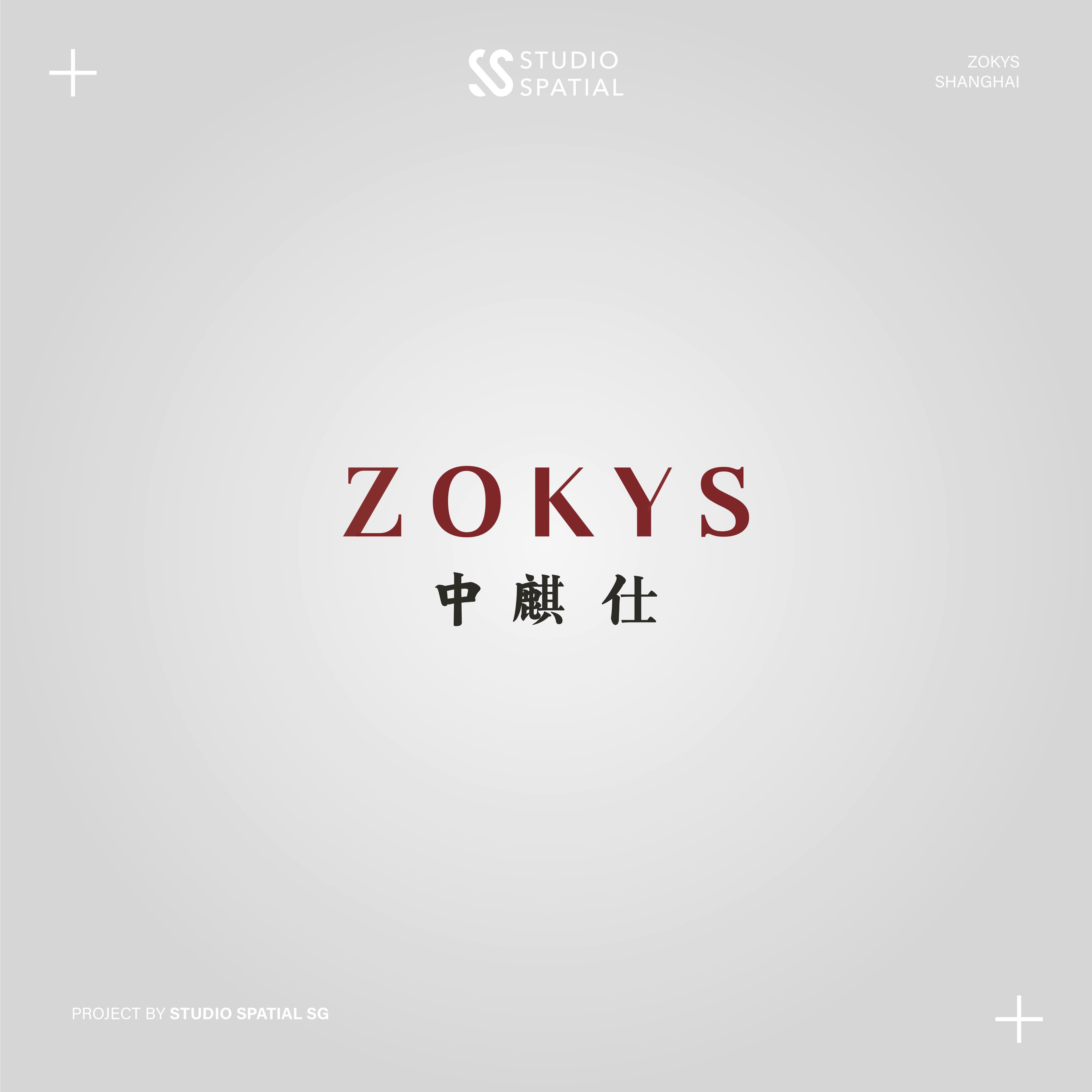 Zokys